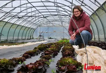 Maraichère, accroupie devant des plants de salade