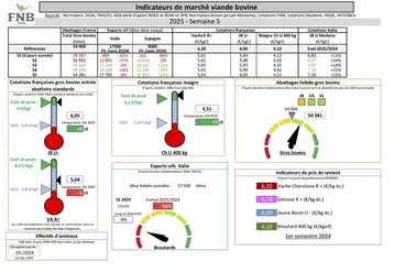 Les indicateurs de marché de viande bovine