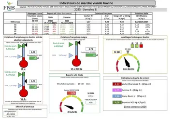 Indicateurs de marché de viande bovine