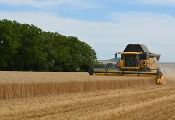 champ travaux agricoles entrepreneurs EDT 63