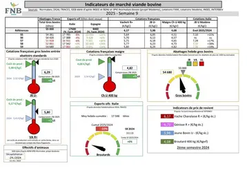 Les indicateurs de marché viande bovine