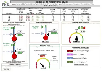 Indicateurs de marché de viande bovine