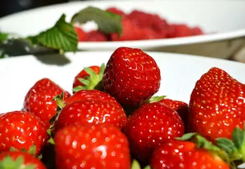 Fraises des Monts du Velay
