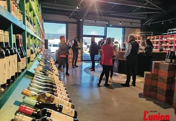 Des gens dans une cave à vin colorée