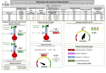 Les indicateurs de marché de viande bovine