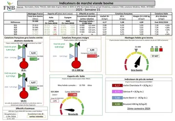 Indicateurs de marché de viande bovine