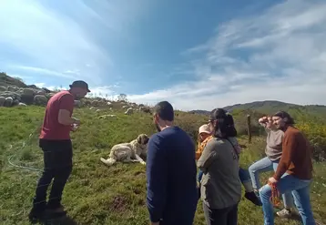 Ferme ovine