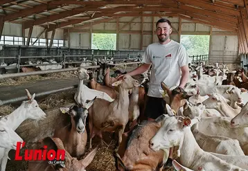 Représentant de la section caprine du Cantal au milieu de ses chèvres.