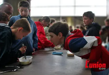 Ateliers pour enfants autour du caillé sur une ferme ouverte. 