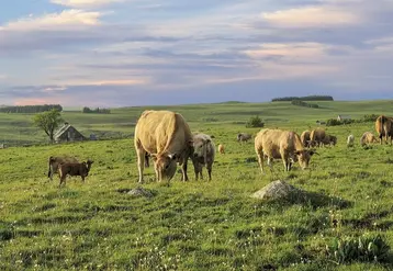 L'Aubrac et ses paysages