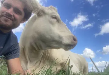 Selfie de Gauthier Hamot aux côtés d'une de ses vaches.