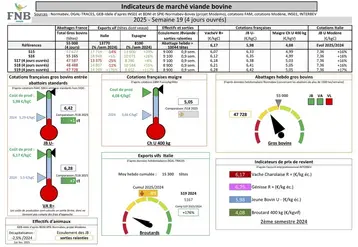Les indicateurs de marché de viande bovine