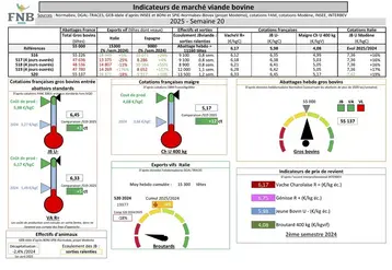 Les indicateurs de marché de viande bovine