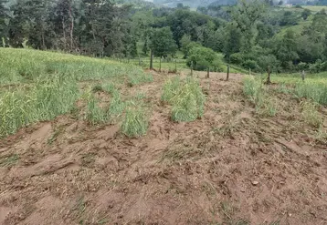 dégâts grêle