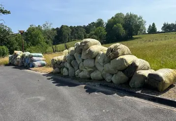 récolte de ficelles et filets