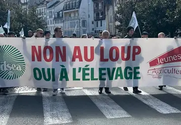 manifestation contre le loup à Tulle