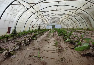 innondation sous une serre