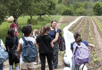 Les élèves de sixième du collège de Florac visite les parcelles du maraîcher Simon Rousset