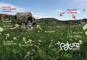 Un libre blanc pour protéger l'élevage herbager du Massif central.
