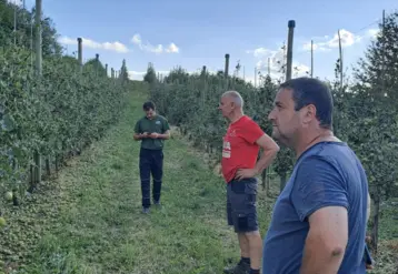 dégats dans les vergers