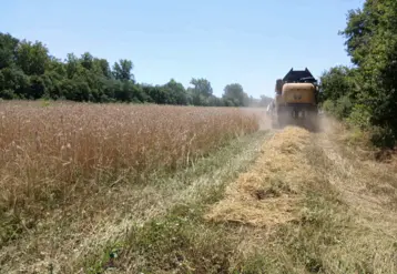 machine agricole dans champs
