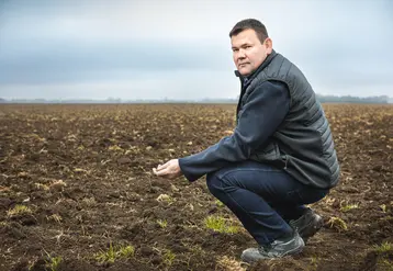 seb vidal président limagrain 