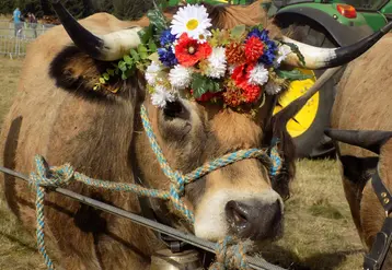 Ultime a été couronnée Miss de l'évènement. 