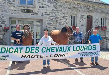 Le Concours départemental de chevaux lourds aura lieu à Araules au coeur du bourg.