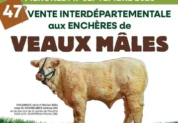 Affiche 47ème vente ALSONI