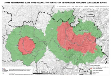 Nouvelle zone réglementée après la découverte d'un foyer de DNC dans le Rhône.