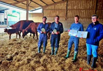 trois éleveurs et un technicien tiennent des trophées aux côtés de vaches et veaux salers