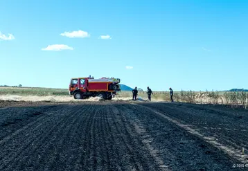 à Saint-Paulien, le feu a détruit une parcelle entière de culture.