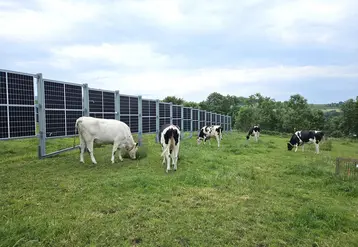 Le projet Camélia à Laqueuille devrait se poursuivre jusqu'en 2028. 