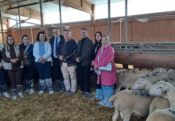Une délégation marocaine a visité le Site génétique et expérimental de Paysat-Bas, en amont du Sommet de l'élevage.