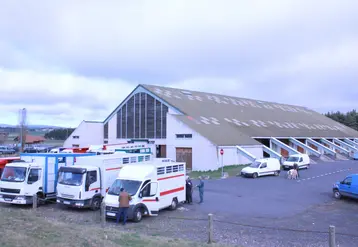 Les marchés aux bovins sont interdits depuis dimanche et jusqu'au 5 novembre.