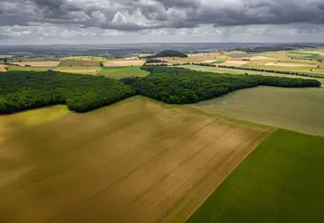 vue aérienne de terres agricoles