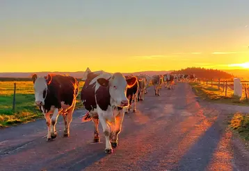 Nicolas Faisandier, de Saint-Jean-Lachalm, remporte la première place avec sa photo « Regardez ce qu’octobre illumine ».