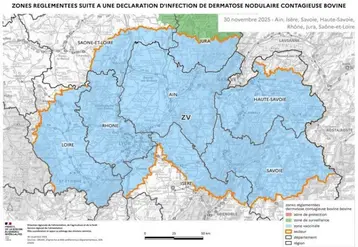 45 jours après le dernier foyer et si le taux de vaccination de la zone le permet, la zone réglementée devient zone vaccinale DNC. Cela ouvre la porte à une reprise des échanges, vers la zone indemne dans un premier temps et à l’export dans un deuxième temps. Compte tenu de leur proximité, 3 anciennes zones ont été fusionnées en une seule grande zone vaccinale.