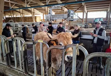 Les candidats concentrés dans l’exercice de pointage