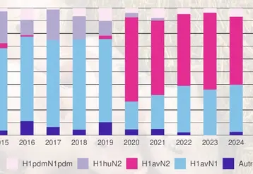 La possibilité de franchissement de barrière d’espèces pouvant conduire à une nouvelle pandémie est un risque majeur. Elle peut se faire directement à partir des oiseaux, mais plus probablement en passant par une autre espèce comme le porc. Les virus y sont donc régulièrement surveillés dans le cadre du réseau national de surveillance des virus influenza chez le porc (Résavip). On retrouve à la fois des virus d’origine humaine ou aviaire. Les éleveurs de volailles et de suidés sont ég...