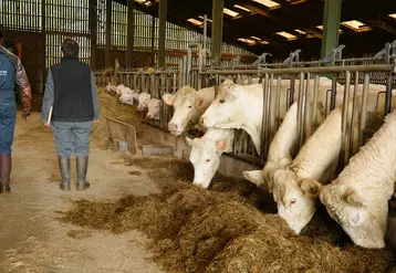 La région Auvergne-Rhône-Alpes subventionne les investissements dans les bâtiments d'élevage.