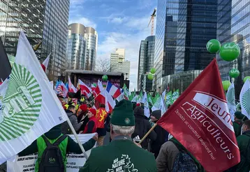 Manifestants portant les drapeaux de la FNSEA et des Jeunes Agriculteurs devant les institutions européennes à Bruxelles, lors de la mobilisation contre le Mercosur le 18 décembre 2025.