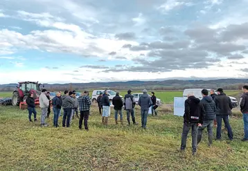 Une trentaine d'agriculteurs sont venus s'informer sur les bénéfices des couverts végétaux.