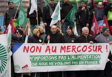 Plusieurs délégations départementales se sont déplacées jusqu'à Strasbourg pour défendre la production agricole. 