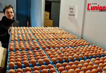 éleveur de poules pondeuses devant sa production d'oeufs. 