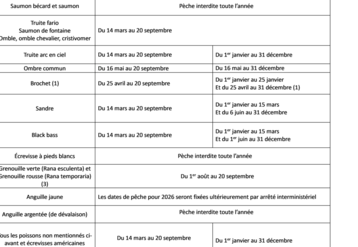 (1)Brochet : sauf sur la Loire, 200 m en amont du pont d’Aurec sur Loire (RD 46) jusqu’à la confluence avec la Semène sur une distance de 3000 m (commune d’Aurec-sur-Loire) ouverture seulement du 6 juin au 31 décembre 2026.