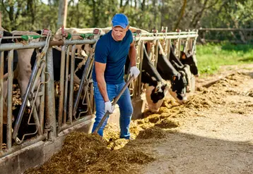 Les groupements d’employeurs sont des associations loi 1901, pilotées par des agriculteurs élus. 