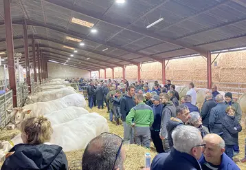 vue d'ensemble concours de Montluçon