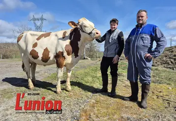 une vache et deux hommes