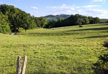 Dans certains cas, l'échange de parcelles peut s'avérer judicieux.